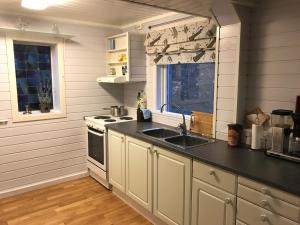 a kitchen with a sink and a stove at Lodge Visnes Stryn in Stryn +16 photos
