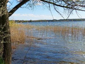 a body of water with grass and boats in it at Am Mischwald in Nossentiner Hütte in Nossentiner Hütte