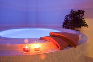 Fotografie z fotogalerie ubytování Penzion s wellness Uherské Hradiště v destinaci Uherské Hradiště