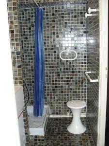 una doccia con un water e una tenda da doccia blu di BRITANNIA - Studio tout équipé, Vue mer - U95 a Carnac