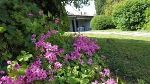 Afbeelding uit fotogalerij van Italsol Residence Riai in Moniga