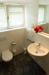ein weißes Bad mit einem WC und einem Waschbecken in der Unterkunft Wambacher Mühle in Schlangenbad