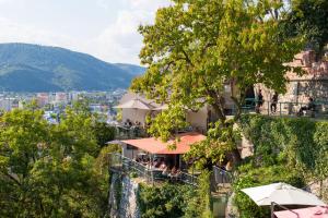 Príroda v okolí apartmánu