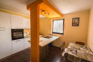 Kuchyň nebo kuchyňský kout v ubytování Holiday Home Fasana