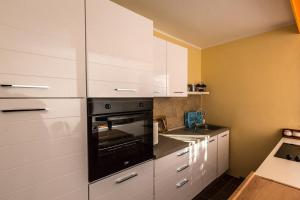 Kuchyň nebo kuchyňský kout v ubytování Holiday Home Fasana