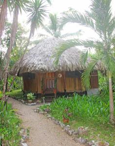 a small hut with a thatched roof and palm trees at Sun Creek Lodge in Punta Gorda