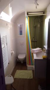 a bathroom with a rainbow shower curtain and a toilet at Chambre d'hôte Jules & Annette in Vittel