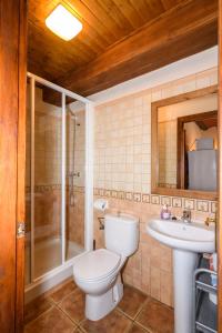 a bathroom with a toilet and a sink and a shower at Casa El Mirador in Beceite