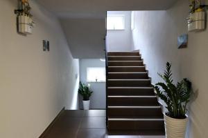 Fotografia z galérie ubytovania Apartamenty BM'Kruk v destinácii Stronie Śląskie