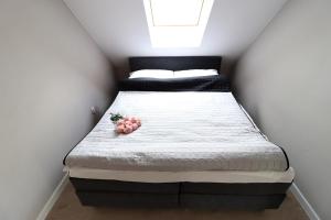 Posteľ alebo postele v izbe v ubytovaní Apartamenty BM'Kruk
