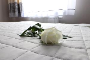 Posteľ alebo postele v izbe v ubytovaní Apartamenty BM'Kruk