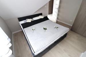 Posteľ alebo postele v izbe v ubytovaní Apartamenty BM'Kruk