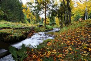 Príroda v okolí apartmánu