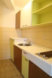 eine Küche mit einer Spüle und einer Arbeitsplatte in der Unterkunft Aparthotel Park in Brčko
