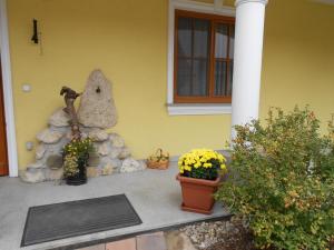 Vonkajšia záhrada v ubytovaní Weingut - Gästezimmer zum Schwalbennest