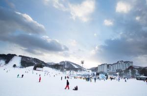um grupo de pessoas na neve numa pista de esqui em Yongpyong Resort em Pyeongchang