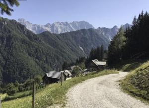 a dirt road with mountains in the background at Kmetija Matk in Solčava