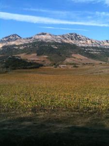 um campo com uma montanha ao fundo com flores em Agréable Location au coeur du vignoble DOMINICI THERESE em Patrimonio