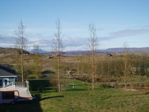 a view of a field with trees and a house at Húsid Guesthouse in Reykholt