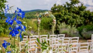een rij witte stoelen met blauwe bloemen vooraan bij Relais L'Antico Convento in Galera