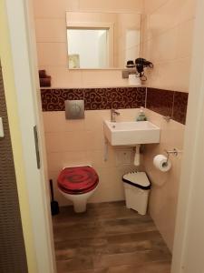 ein Badezimmer mit einem roten WC und einem Waschbecken in der Unterkunft City Central Promenade in Bad Homburg vor der Höhe