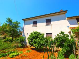 Vonkajšia záhrada v ubytovaní Apartmensts Nikola 1023