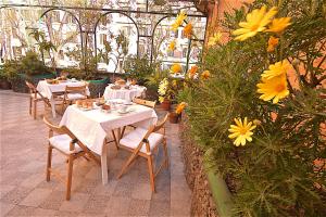 uma estufa com mesas, cadeiras e flores em Hotel Carmel em Roma