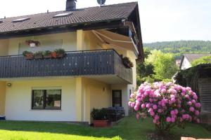 ein Haus mit rosa Blumen im Hof in der Unterkunft Ferienwohnung am Eck in Amorbach