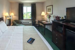 a hotel room with a bed and a desk and a television at Meadowlands Plaza Hotel in Secaucus