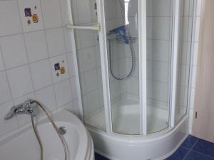 een badkamer met een douche naast een toilet bij Ferienwohnung Janko in Meßstetten