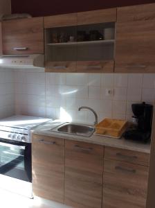 Kuchyň nebo kuchyňský kout v ubytování Sunny apartment
