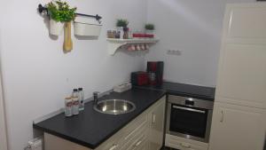 een keuken met een spoelbak en een aanrechtblad bij Apartment Bianco Central in Sibiu +8 foto's