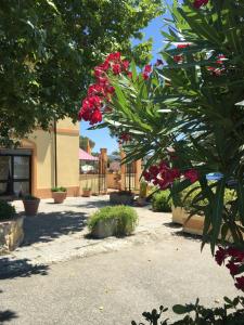 een tuin met roze bloemen en planten voor een gebouw bij Hotel Il Malandrone in Rosignano Marittimo