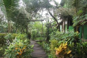 a wooden path through a garden with plants at Green Zion Garden in Butre