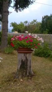 A garden outside Alloggio Taddei