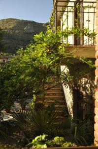 uma escada que conduz a um edifício com plantas em La Caveja em Pietravairano