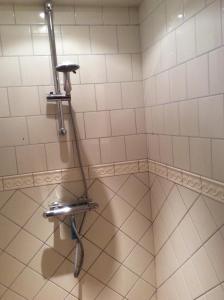 een badkamer met een douche met een slang bij B&B Bij de koeien in Tubbergen