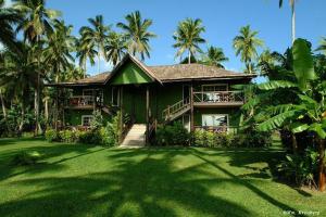 a green house with palm trees in a yard at Beqa Lagoon Resort in Beqa Island