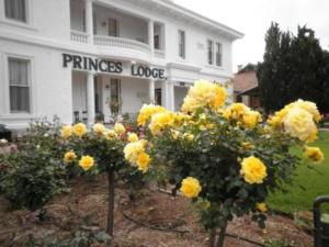 Ein paar gelbe Blumen vor einem weißen Gebäude in der Unterkunft Princes Lodge Motel in Adelaide