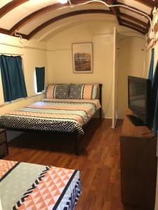 Llit o llits en una habitació de Dongara Breeze Inn