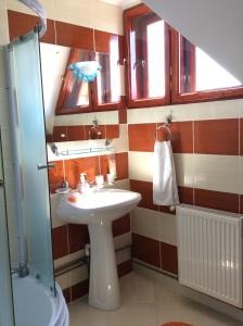 een badkamer met een wastafel en een douche bij Casa Andrada & Ilinca in Gura Humorului