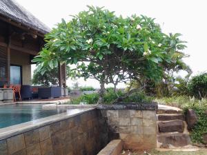 a tree next to a swimming pool next to a house at Villa The Flows at Belle Rivière in Bel Ombre