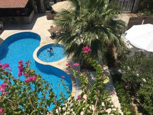 an overhead view of a swimming pool with a palm tree at Villanaz Apart Hotel in Bitez