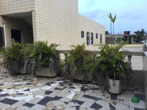 a group of potted plants in front of a building at Julmarte in Lomé