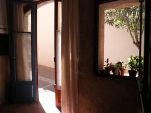 une porte ouverte avec un miroir et des plantes en pot dans l'établissement Maison de l'étang de Thau, à Bouzigues