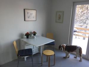 a dog standing in a room with a table and chairs at Fjällstuga in Idre