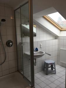 格斯費爾德的住宿－Ferienwohnungen Fliegerstrasse，一间带水槽和淋浴的浴室