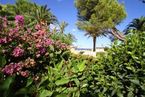 Zahrada ubytování ARENDA Pino Alto Holiday Home Portofino