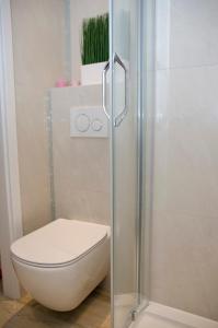 W łazience znajduje się toaleta i przeszklony prysznic. w obiekcie kameralny apartament w Olsztynie
