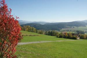 ザンクト・エングルマールにあるAlpenblickの山家を背景にした緑地